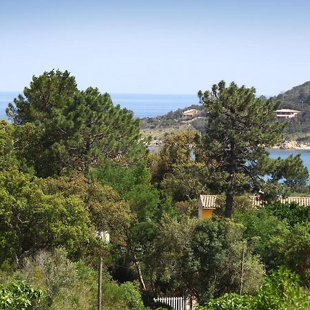 Villa Mimosa Favone Buitenkant foto