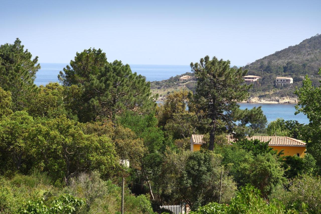 Villa Mimosa Favone Buitenkant foto