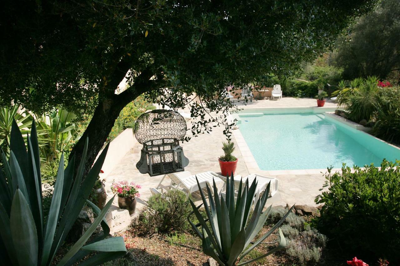 Villa Mimosa Favone Buitenkant foto