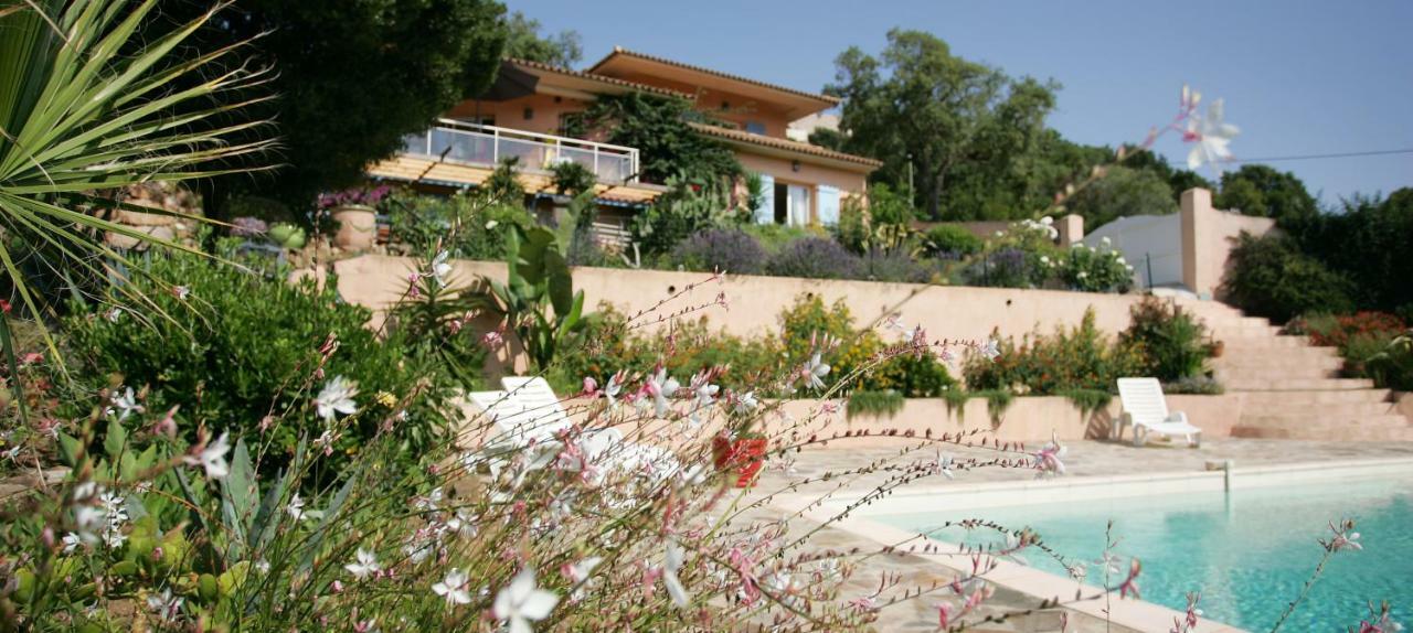 Villa Mimosa Favone Buitenkant foto