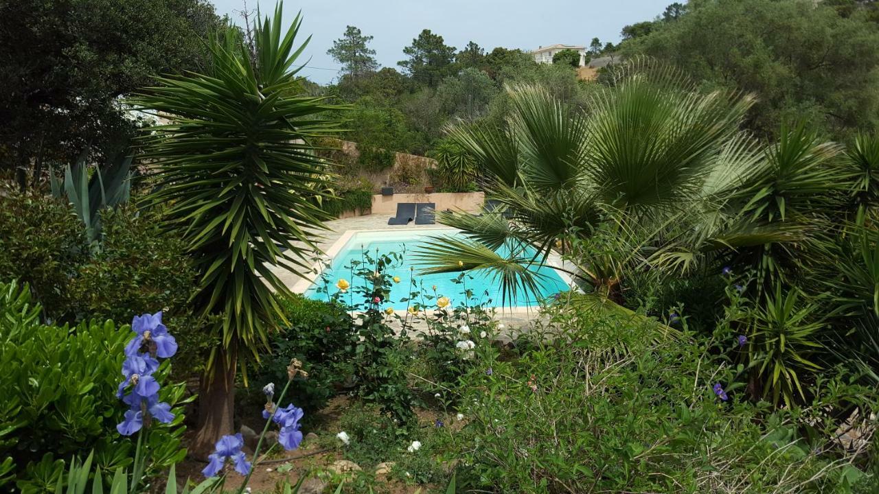 Villa Mimosa Favone Buitenkant foto