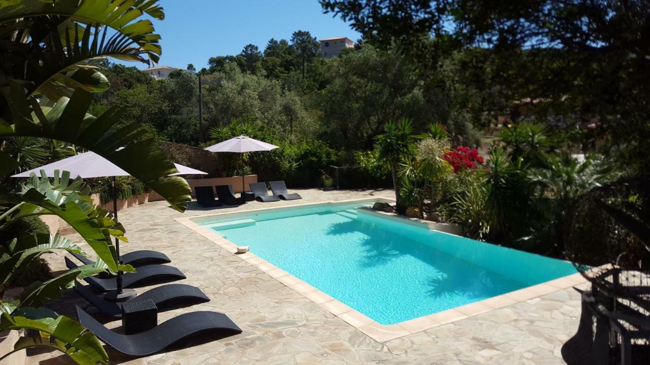 Villa Mimosa Favone Buitenkant foto