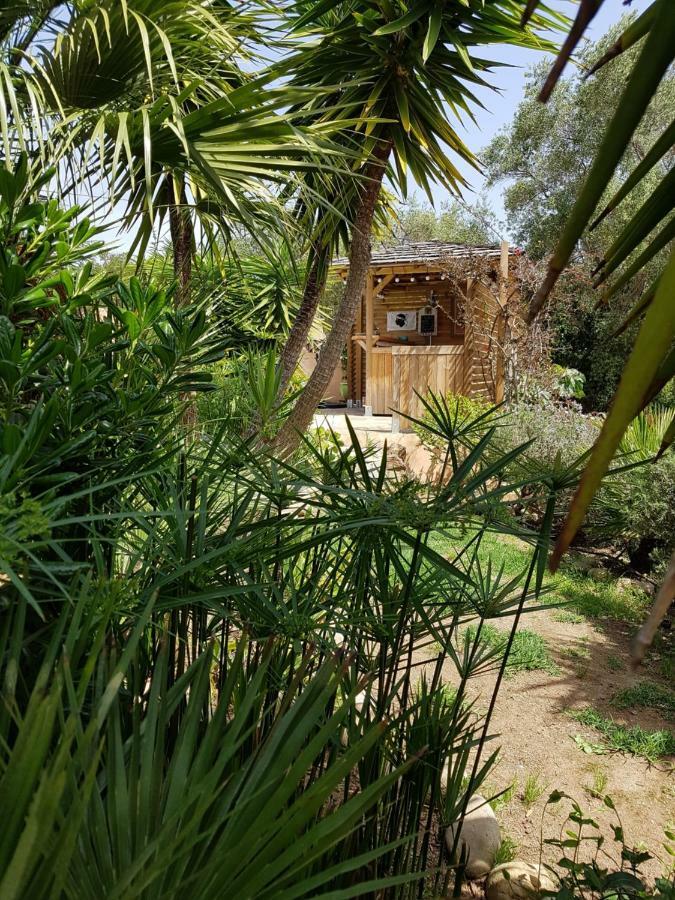 Villa Mimosa Favone Buitenkant foto